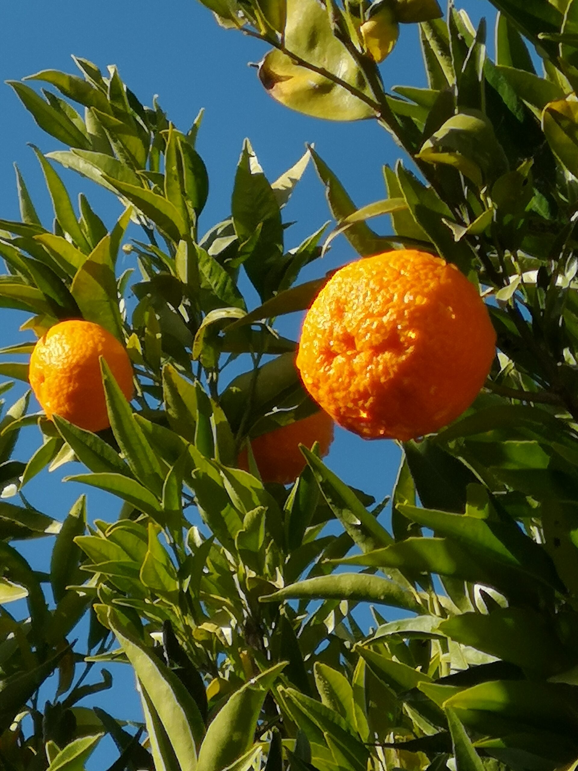 Côte d’Azur 2021